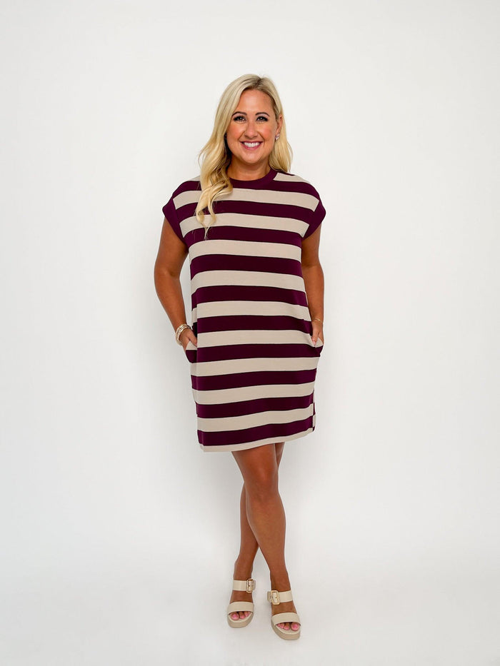 Plum & Oatmeal Striped Knit Dress - SLS Wares